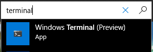 Windows Store Terminal